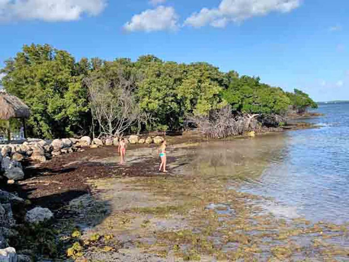 Sea Mist - Oceanfront-Lake-Kayak-Paddleboard-Bike Key Largo Exterior foto